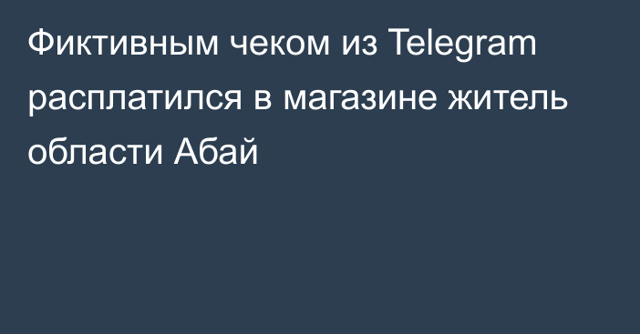 Фиктивным чеком из Telegram расплатился в магазине житель области Абай