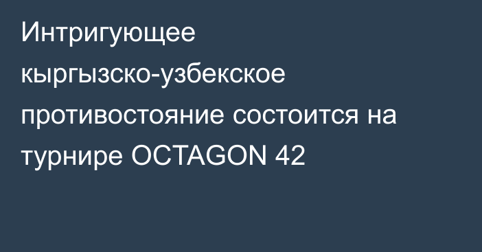 Интригующее кыргызско-узбекское противостояние состоится на турнире OCTAGON 42