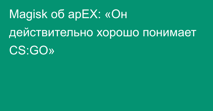 Magisk об apEX: «Он действительно хорошо понимает CS:GO»