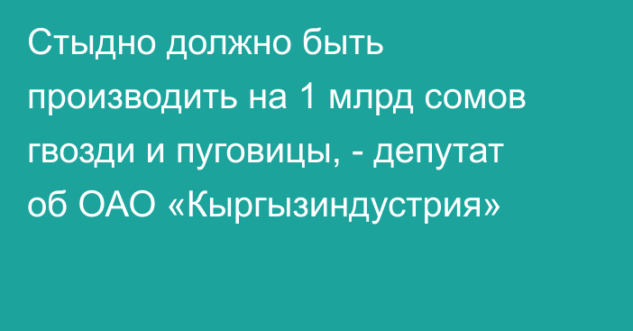 Стыдно должно быть производить на 1 млрд сомов гвозди и пуговицы, - депутат об ОАО «Кыргызиндустрия»