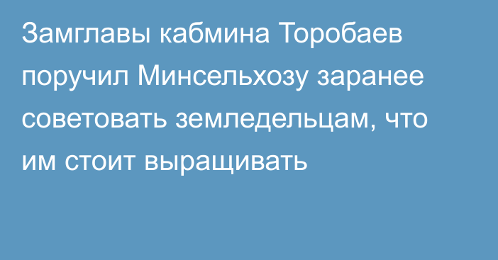 Замглавы кабмина Торобаев поручил Минсельхозу заранее советовать земледельцам, что им стоит выращивать
