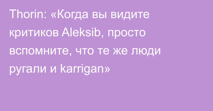 Thorin: «Когда вы видите критиков Aleksib, просто вспомните, что те же люди ругали и karrigan»
