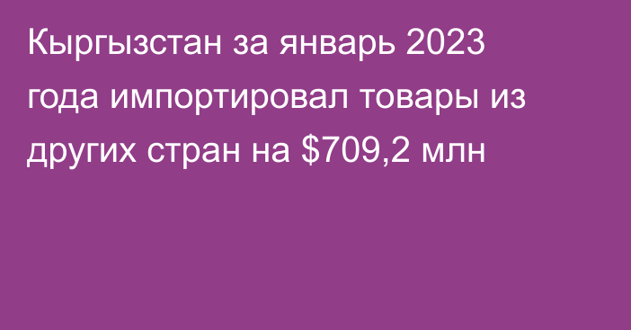 Кыргызстан за январь 2023 года импортировал товары из других стран на $709,2 млн