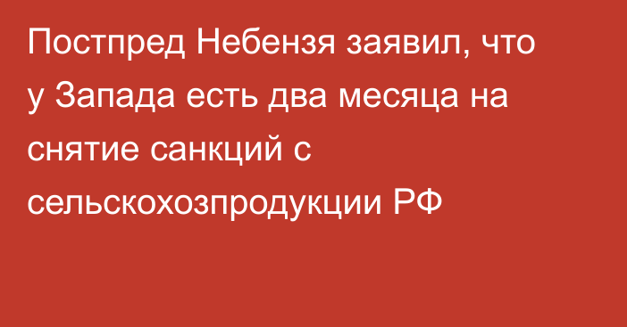 Постпред Небензя заявил, что у Запада есть два месяца на снятие санкций с сельскохозпродукции РФ