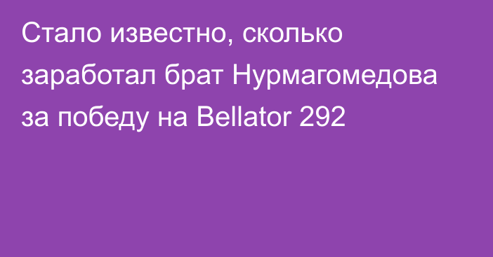 Стало известно, сколько заработал брат Нурмагомедова за победу на Bellator 292