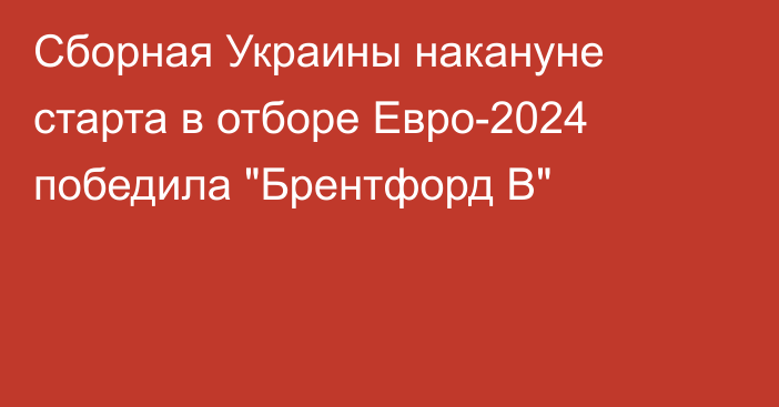 Сборная Украины накануне старта в отборе Евро-2024 победила 