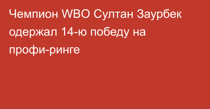 Чемпион WBO Султан Заурбек одержал 14-ю победу на профи-ринге