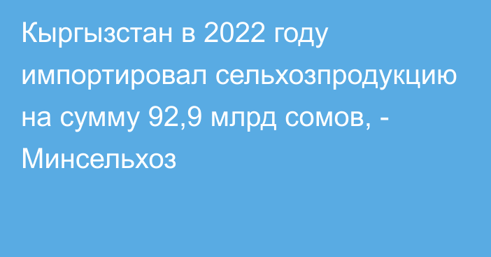 Кыргызстан в 2022 году импортировал сельхозпродукцию на сумму 92,9 млрд сомов, - Минсельхоз