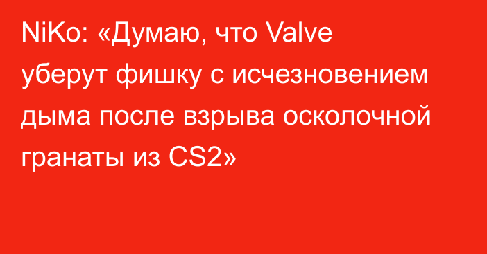 NiKo: «Думаю, что Valve уберут фишку с исчезновением дыма после взрыва осколочной гранаты из CS2»