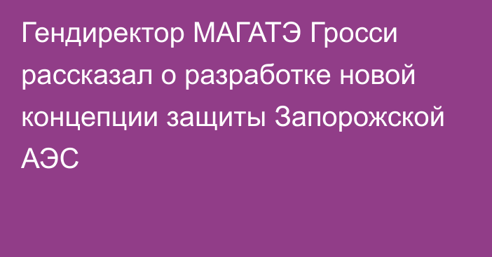 Гендиректор МАГАТЭ Гросси рассказал о разработке новой концепции защиты Запорожской АЭС