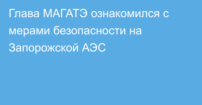 Глава МАГАТЭ ознакомился с мерами безопасности на Запорожской АЭС
