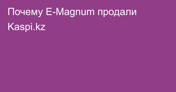 Почему E-Magnum продали Kaspi.kz