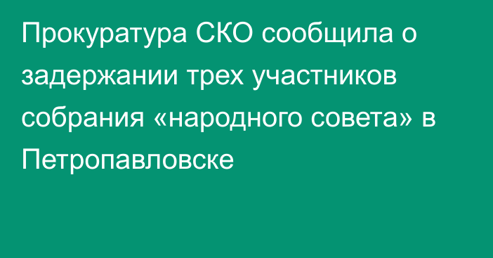 Прокуратура СКО сообщила о задержании трех участников собрания «народного совета» в Петропавловске