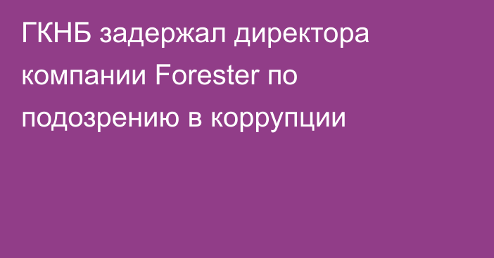 ГКНБ задержал директора компании Forester по подозрению в коррупции
