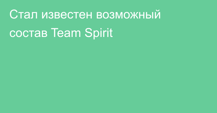 Стал известен возможный состав Team Spirit