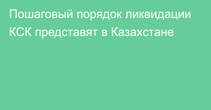 Пошаговый порядок ликвидации КСК представят в Казахстане