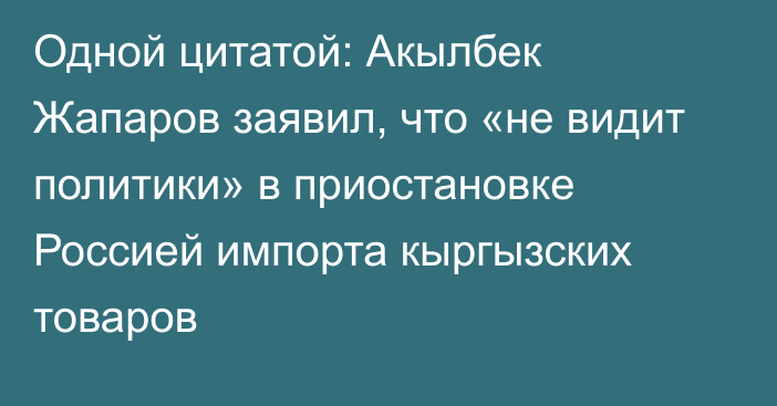 Одной цитатой: Акылбек Жапаров заявил, что «не видит политики» в приостановке Россией импорта кыргызских товаров