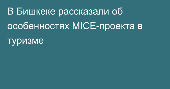 В Бишкеке рассказали об особенностях MICE-проекта в туризме 