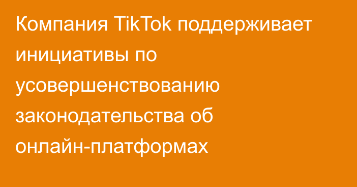 Компания TikTok поддерживает инициативы по усовершенствованию законодательства об онлайн-платформах