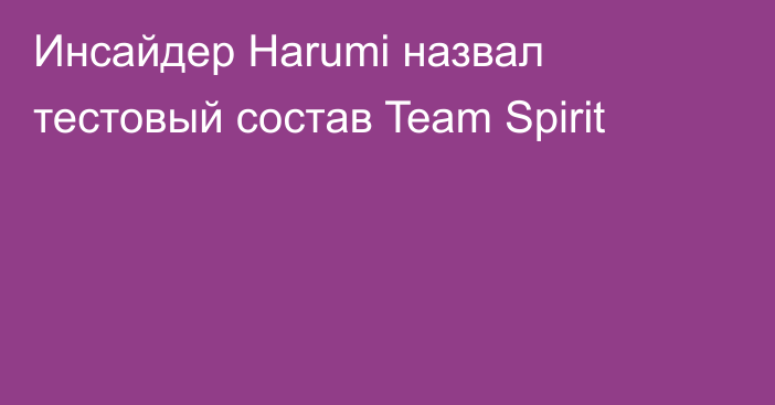 Инсайдер Harumi назвал тестовый состав Team Spirit