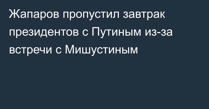 Жапаров пропустил завтрак президентов с Путиным из-за встречи с Мишустиным