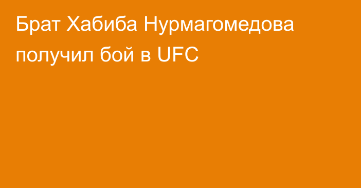 Брат Хабиба Нурмагомедова получил бой в UFC