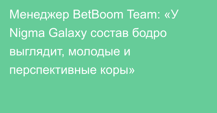 Менеджер BetBoom Team: «У Nigma Galaxy состав бодро выглядит, молодые и перспективные коры»