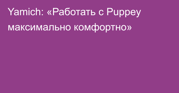 Yamich: «Работать с Puppey максимально комфортно»