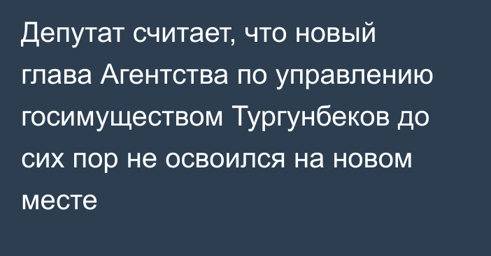 Депутат считает, что новый глава Агентства по управлению госимуществом Тургунбеков до сих пор не освоился на новом месте