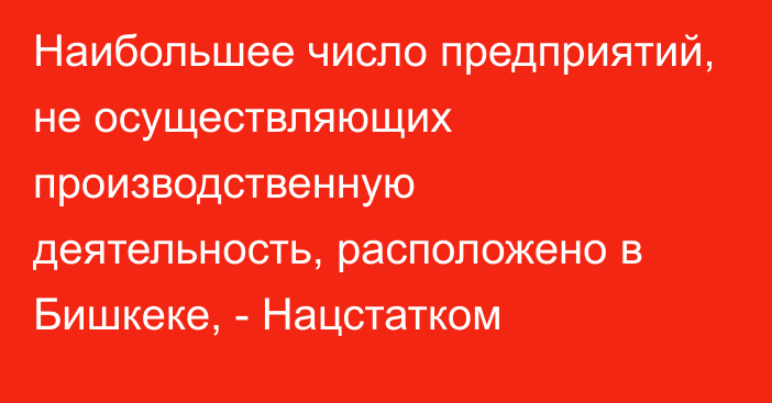 Наибольшее число предприятий, не осуществляющих производственную деятельность, расположено в Бишкеке, - Нацстатком