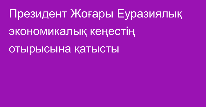 Президент Жоғары Еуразиялық экономикалық кеңестің отырысына қатысты