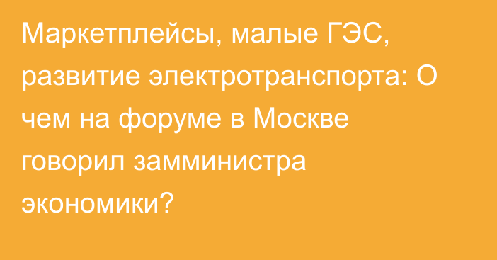 Маркетплейсы, малые ГЭС, развитие электротранспорта: О чем на форуме в Москве говорил замминистра экономики?