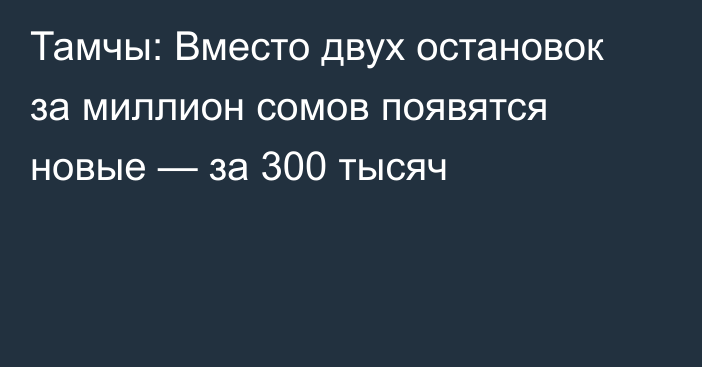 Тамчы: Вместо двух остановок за миллион сомов появятся новые — за 300 тысяч