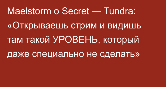 Maelstorm о Secret — Tundra: «Открываешь стрим и видишь там такой УРОВЕНЬ, который даже специально не сделать»