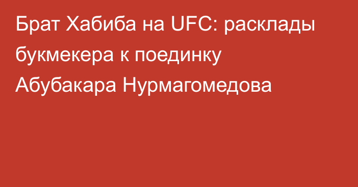 Брат Хабиба на UFC: расклады букмекера к поединку Абубакара Нурмагомедова