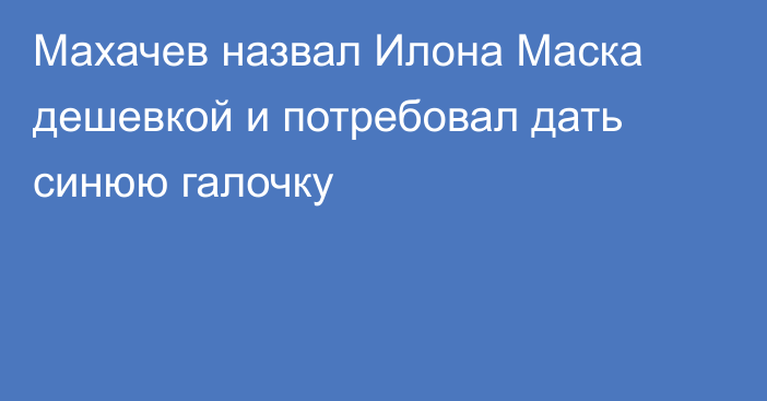 Махачев назвал Илона Маска дешевкой и потребовал дать синюю галочку