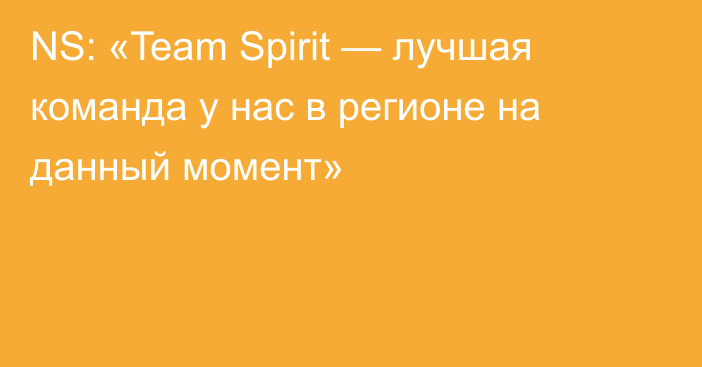 NS: «Team Spirit — лучшая команда у нас в регионе на данный момент»