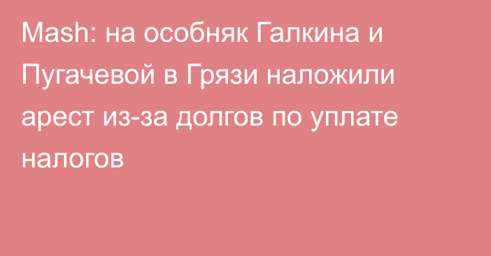 Mash: на особняк Галкина и Пугачевой в Грязи наложили арест из-за долгов по уплате налогов