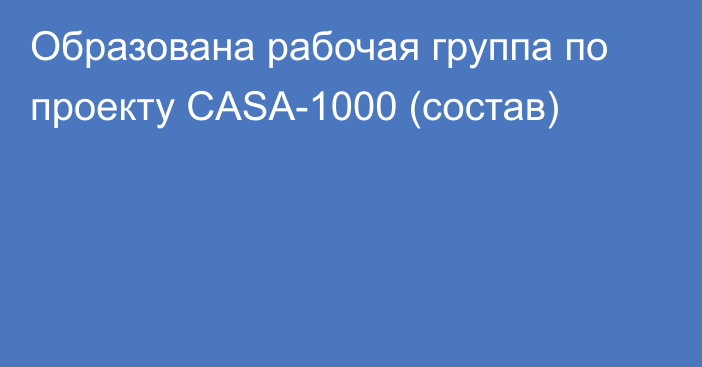 Образована рабочая группа по проекту CASA-1000 (состав)