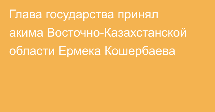 Глава государства принял акима Восточно-Казахстанской области Ермека Кошербаева