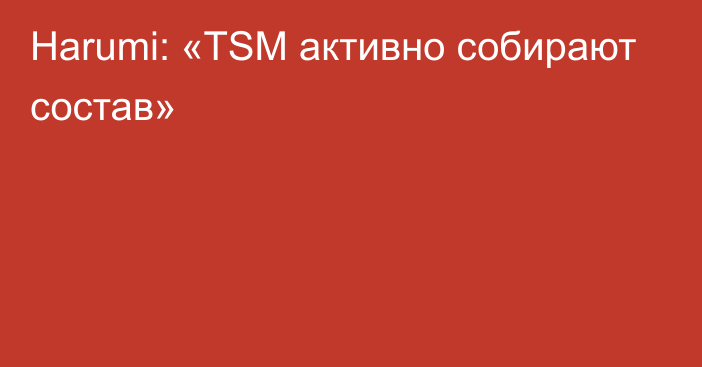 Harumi: «TSM активно собирают состав»