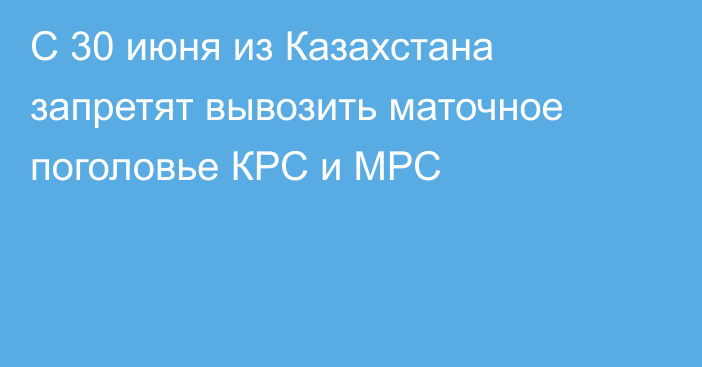 С 30 июня из Казахстана запретят вывозить маточное поголовье КРС и МРС