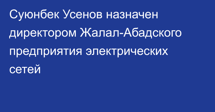 Суюнбек Усенов назначен директором Жалал-Абадского предприятия электрических сетей