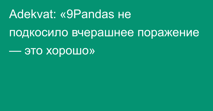 Adekvat: «9Pandas не подкосило вчерашнее поражение — это хорошо»