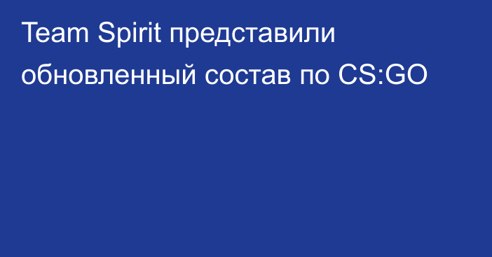 Team Spirit представили обновленный состав по CS:GO