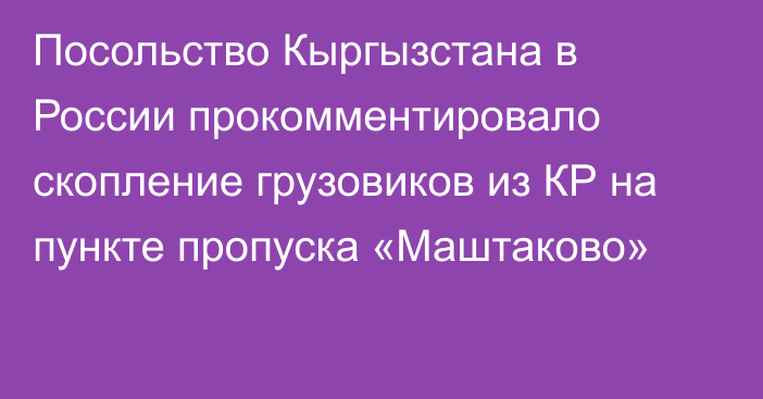 Посольство Кыргызстана в России прокомментировало скопление грузовиков из КР на пункте пропуска «Маштаково»