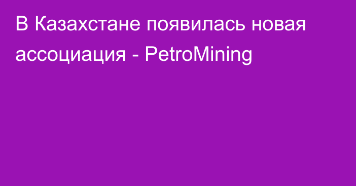 В Казахстане появилась новая ассоциация - PetroMining