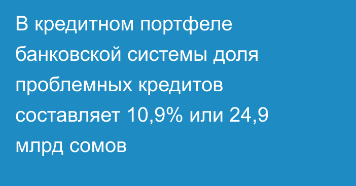 В кредитном портфеле банковской системы доля проблемных кредитов составляет 10,9% или 24,9 млрд сомов