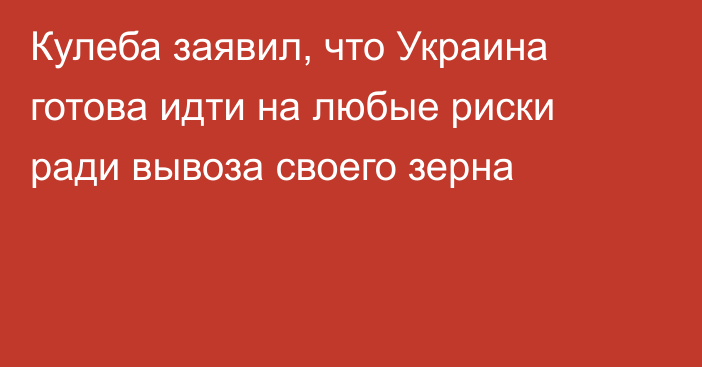 Кулеба заявил, что Украина готова идти на любые риски ради вывоза своего зерна