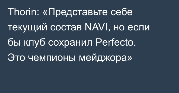 Thorin: «Представьте себе текущий состав NAVI, но если бы клуб сохранил Perfecto. Это чемпионы мейджора»